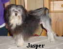 Jasper