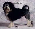 Kapu