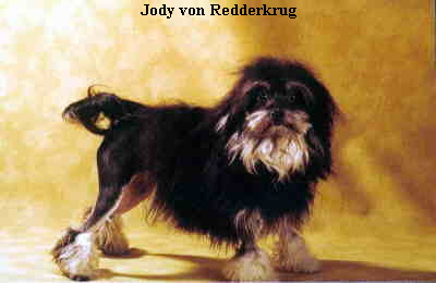 Jody von Redderkrug
