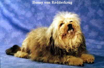 Bonny von Redderkrug