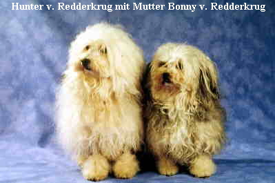 Hunter v. Redderkrug mit Mutter Bonny v. Redderkrug