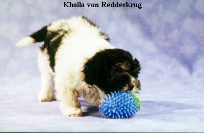 Khaila von Redderkrug